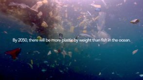 Will there be more fish or plastic in the sea in 2050?
