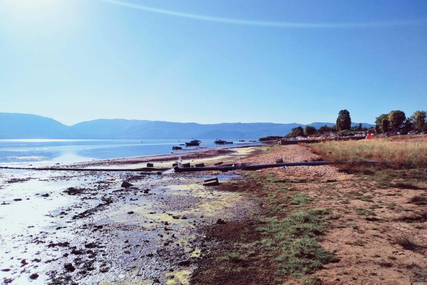 Преспанското Езеро на работ од еколошка катастрофа